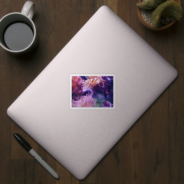 Clown fish in the anemone by DesignsBySaxton